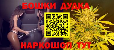 гашик Краснознаменск