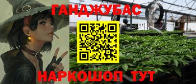 гашик Краснознаменск
